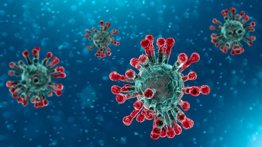 coronavirus virus