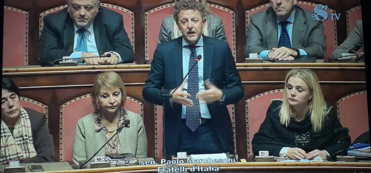 Paolo Marcheschi intervento in Senato